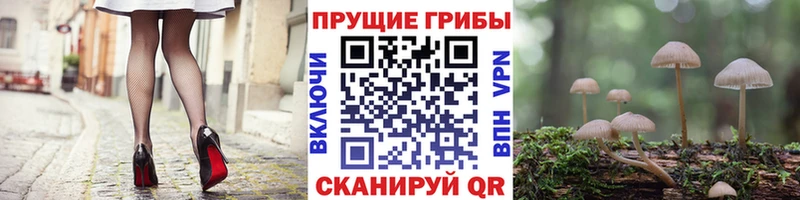купить наркотик  Крым  MEGA вход  Галлюциногенные грибы Psilocybine cubensis 